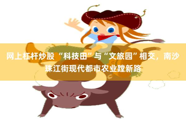 网上杠杆炒股 “科技田”与“文旅园”相交，南沙珠江街现代都市农业蹚新路