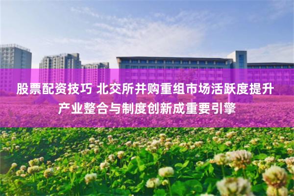 股票配资技巧 北交所并购重组市场活跃度提升 产业整合与制度创新成重要引擎